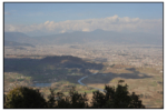 20110217_6788