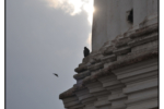 20110226_7008