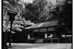 252-06