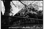 253-11