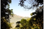 DSCF0245