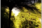 DSCF0258