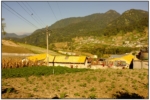 DSCF0373