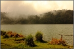 DSCF0468