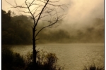 DSCF0498