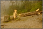 DSCF0543