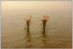 DSCF0547