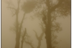DSCF0576