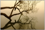 DSCF0637