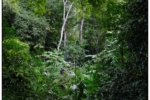 DSCF2312