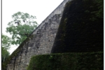 DSCF2341