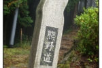 L1000802