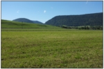 NE_DSCF0244