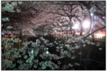 NakaMeguro_R0012074