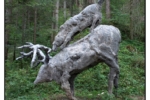 R0005224