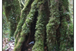 R0011168