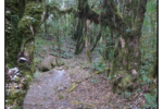R0011173
