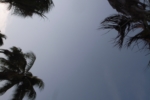 R0011800