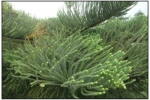 R0012160