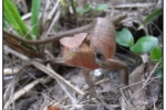 R0012366