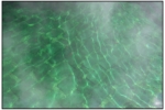 R0012866