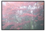 R0017094
