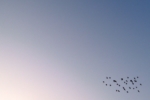 R0017957