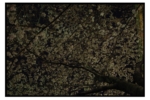 R0018144