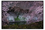 R0018189