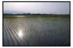 R0018592