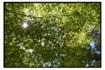 R0018927