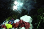 R0019197