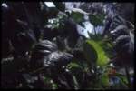 film6_016