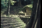 film7_025