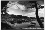 hamarikyu_j17-22
