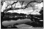 hamarikyu_j17-24