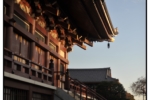 ikegami_20100321_2