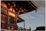 ikegami_20100321_4