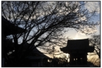 ikegami_20100321_7