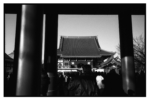 ikegami_j68_06