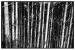 j59_15