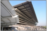 keiba_r0010237