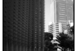 nact_j75_07