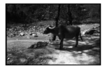 np02_0808_30