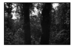 np04_0812_15