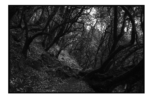 np05_0805_18