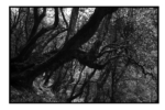 np05_0805_20