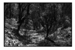 np05_0805_21