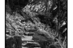 np05_0805_27