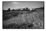 np06_0806_10